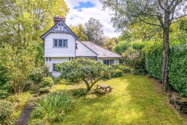 Hawkhurst Road, Cranbrook, Kent, TN17 3 bed equestrian property for sale