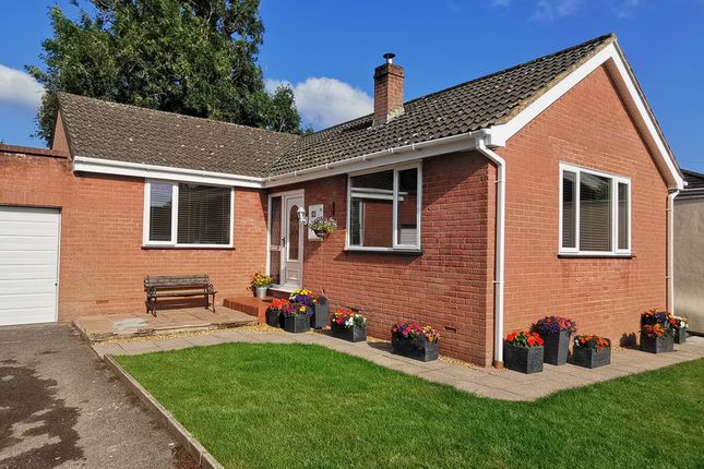 3 bed detached bungalow