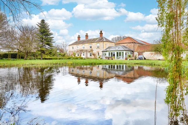 Equestrian facility for sale