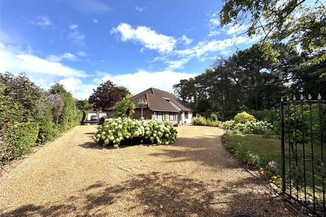 Boundary Lane, St. Leonards... 5 bed bungalow for sale