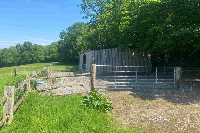 Equestrian facility for sale