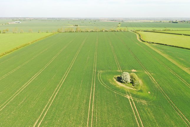 Oldhurst Road, Pidley, Cambridgeshire Land for sale
