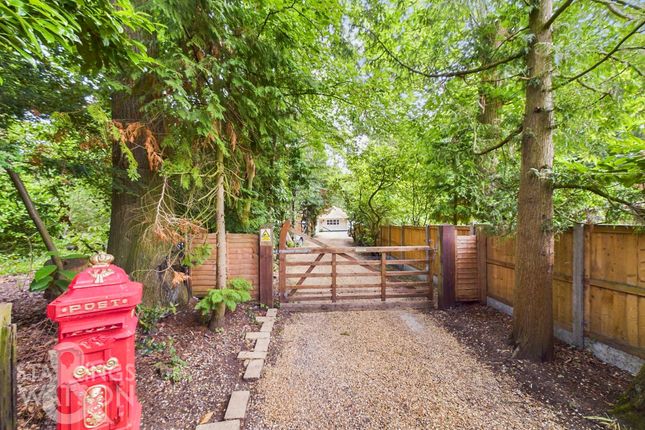 Yarmouth Road, Broome, Bungay 4 bed detached bungalow for sale