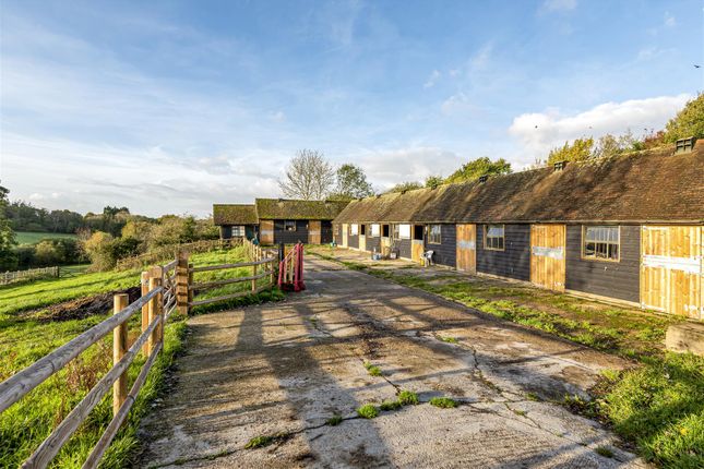 3 bedroom smallholding for sale