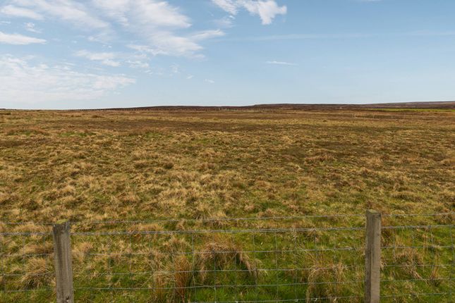 Glamping Plot next to Duncansby... Land for sale