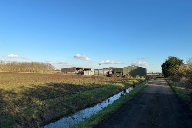 Land for sale