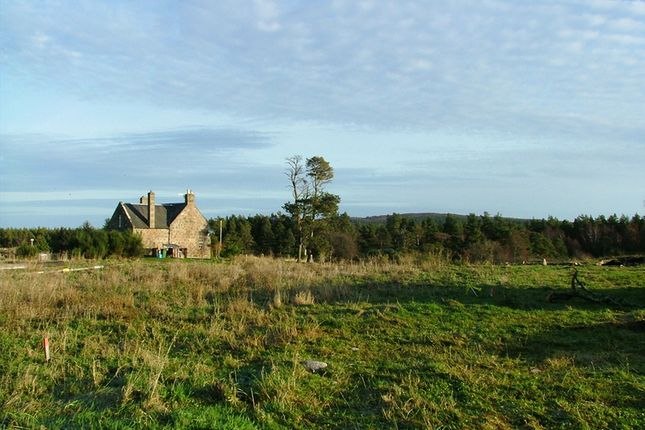 Land