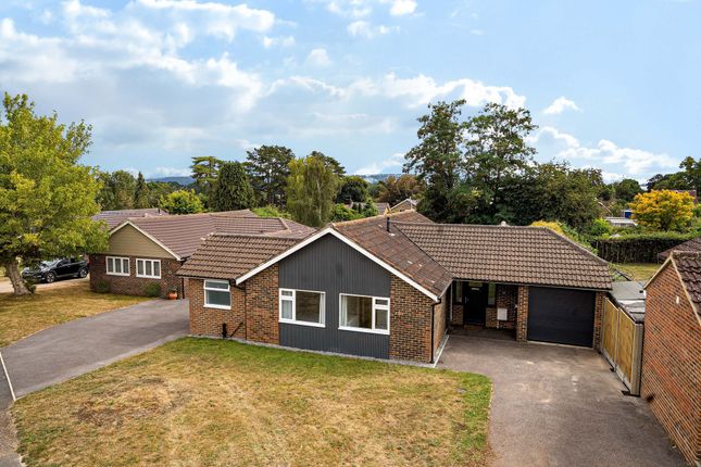 Elmleigh, Midhurst, GU29 3 bed detached bungalow for sale