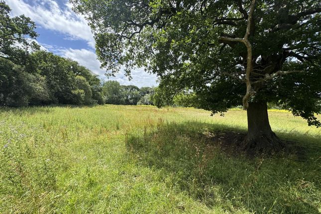 Land for sale