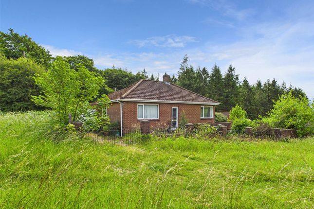 Eastwood Road, Harrow Hill, Drybrook... 3 bed bungalow for sale