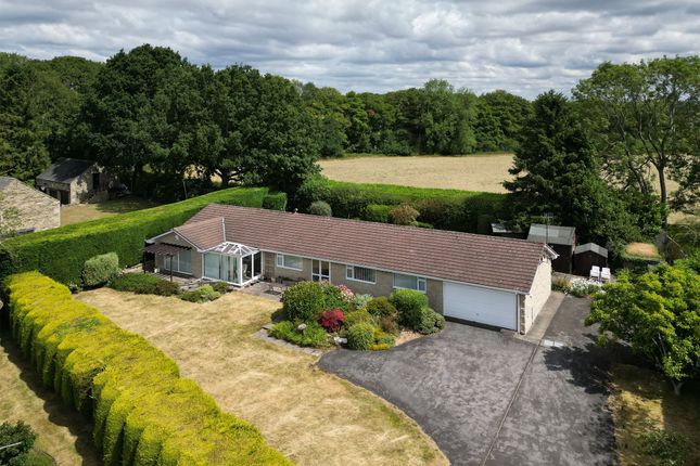 The Knoll, Chesterfield S40 3 bed detached bungalow for sale