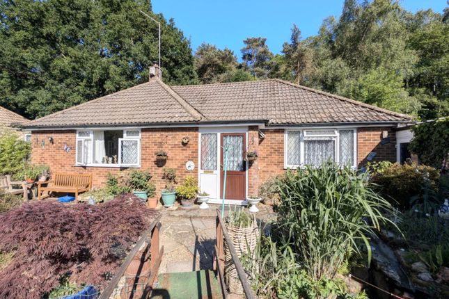 Forest Road, Bordon GU35 3 bed detached bungalow for sale