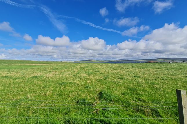 Land