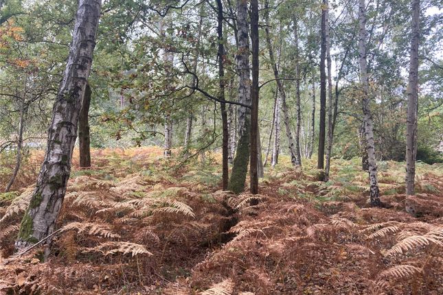 Range Road, Wokingham RG40 Land for sale