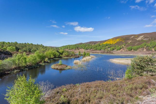 Land at Meall na Leachter, Culnakirk... Land for sale