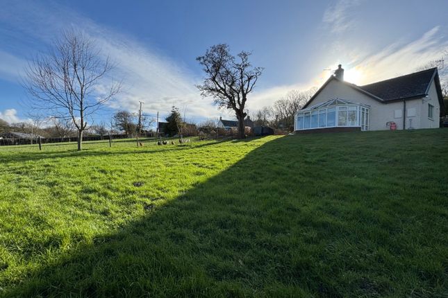 Glanwern, Borth, SY24 5 bed detached bungalow for sale