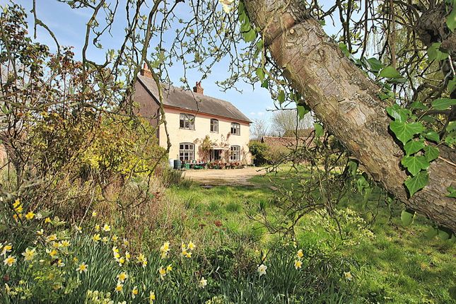 The Street, Bury St. Edmunds IP29 6 bed detached house for sale