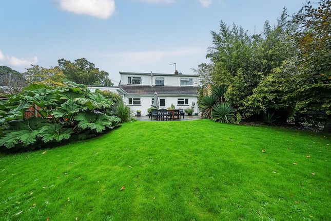 Ashford Hill,  Hampshire,  RG19 4 bed detached house for sale