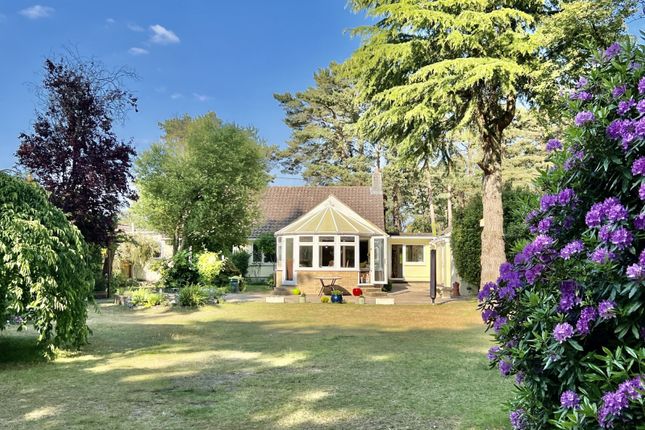 Cedar Avenue, St Leonards, Ringwood... 3 bed bungalow for sale