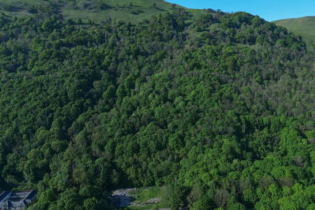 Plot 2, Former Alva House, Woodland... Land for sale