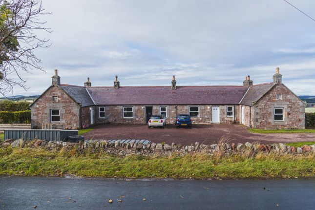 Traprain Cottages, Haddington, East... Plot for sale