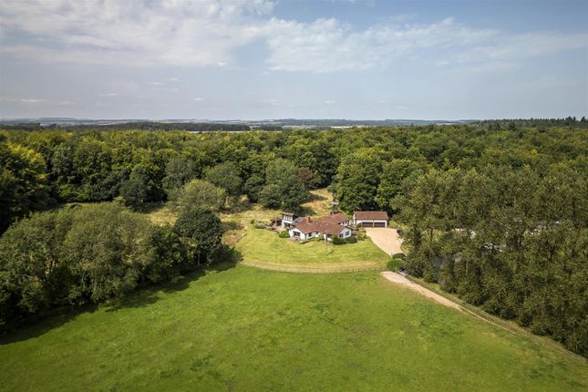 Oakley Road, North Waltham 5 bed detached house for sale