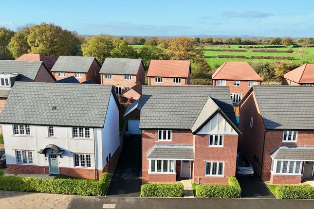 Teal Way, Wistaston, CW2 4 bed detached house for sale