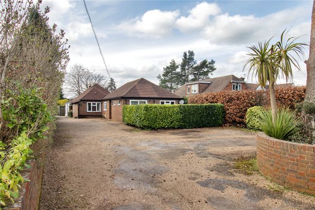 Witches Lane, Sevenoaks, Kent 5 bed bungalow for sale