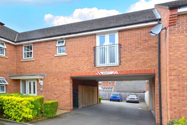 1 bed flat