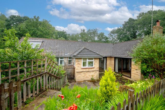 Drove Lane, Cold Ash, Thatcham, RG18 4 bed detached bungalow for sale