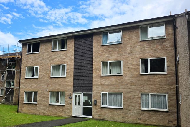 2 bed flat