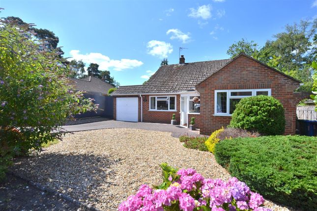 Warren Close, Fleet GU52 3 bed detached bungalow for sale