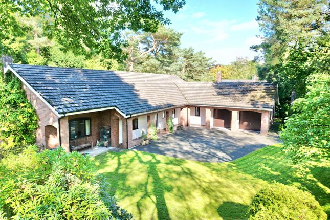 Heath Top, Ashley Heath, TF9 4 bed detached house for sale