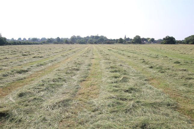 Grass Land at Ryhall Meadows... Farm land for sale