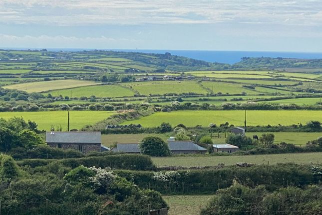 Equestrian facility for sale