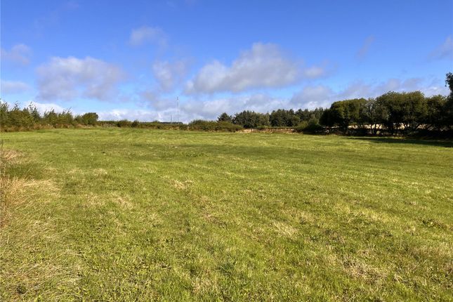 Land for sale