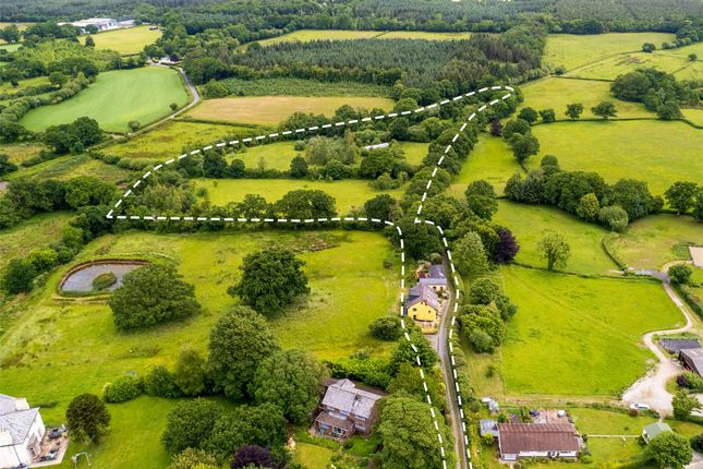 Petrockstow, Okehampton, EX20 5 bed equestrian property for sale