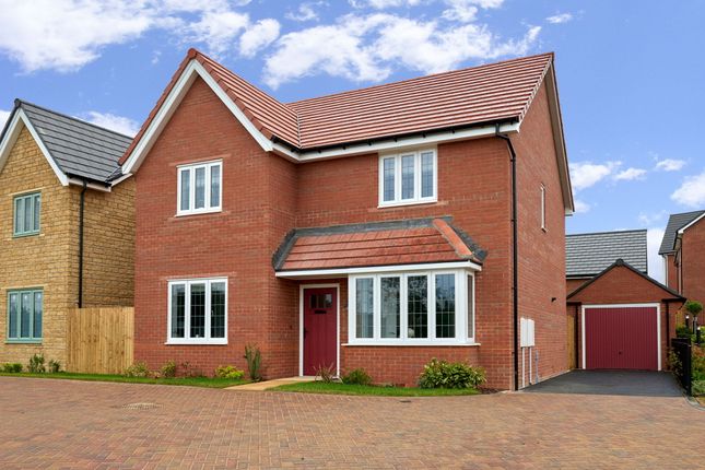 Plot 229, The Harwood at Oriel... 4 bed detached house for sale