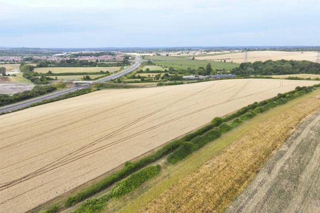 Land on Chalton Luton Road, Chalton... Land for sale