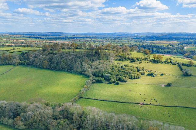 Poughnhill, Caynham, Ludlow... Land for sale