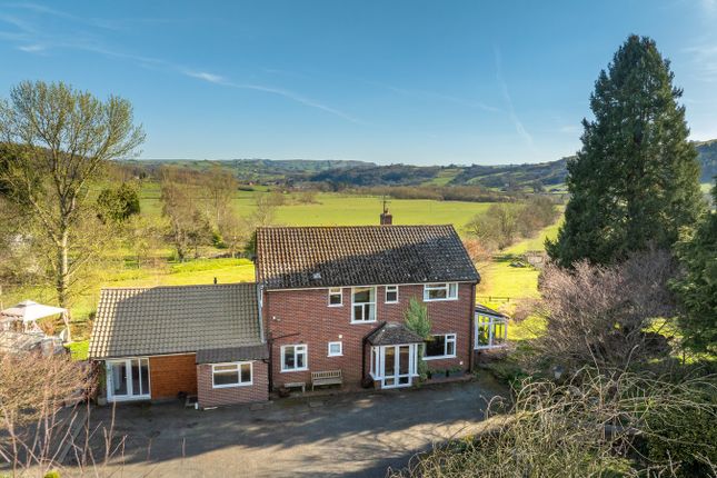 Newtown SY16 4 bed detached house for sale