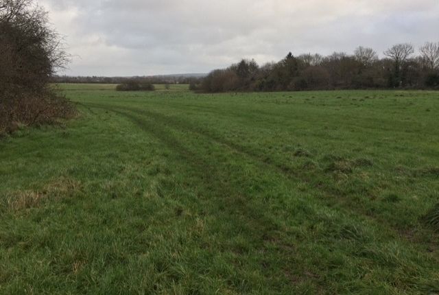 Land