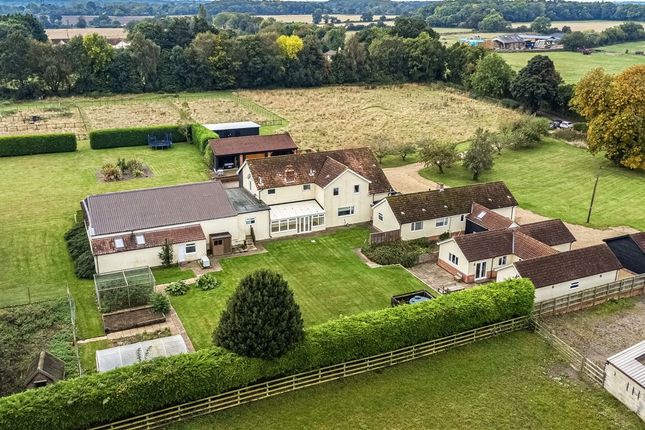 Dallinghoo, Woodbridge, Suffolk, IP13 8 bed equestrian property for sale