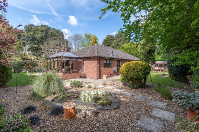 Orchard Close, Fakenham, NR21 3 bed detached bungalow for sale