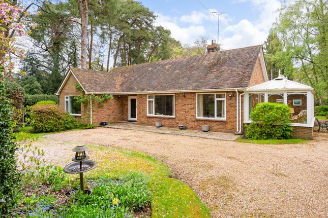 Old Compton Lane, Farnham, Surrey, GU9 3 bed bungalow for sale