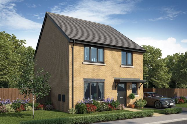 Reedmaker>Detached>AbbeyView at... 4 bed detached house for sale