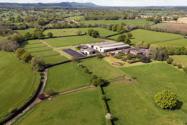 10 bedroom farm house for sale