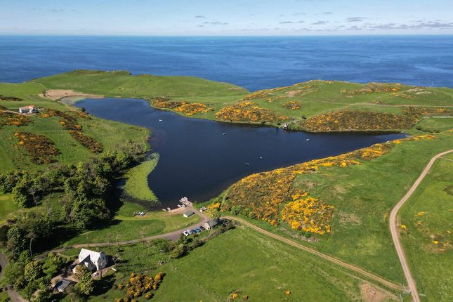 Coldingham Loch Fly Fishery & Holiday... 3 bed detached house for sale