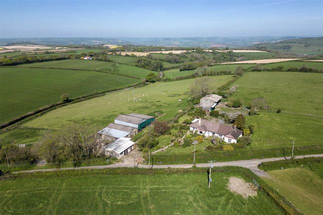Rousdon, Lyme Regis, Devon, DT7 5 bed bungalow for sale