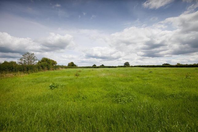 Dorset DT10 Land for sale